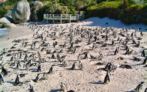 Strip off at the best nude beaches around Western Australia